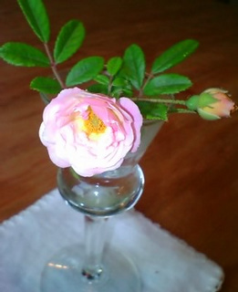 �y�� �� �� ���B�z