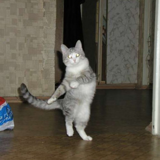 �y�@���܂ɂ͂ق̂ڂ́@�z