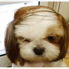 �y�@�A�j���M�K�E�X�y�V�����@�z