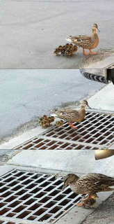 �y�@NO!!!!!�@�z