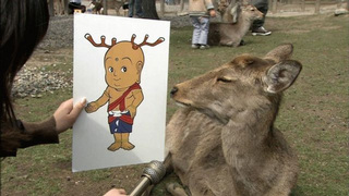 �C���^�r���[