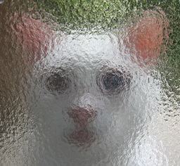 �y�@�ɂ�[�@�z