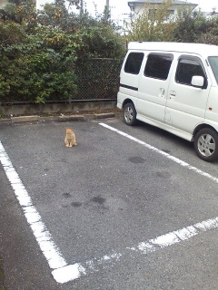 �ߏ��̃X�[�p�[�ɂāB